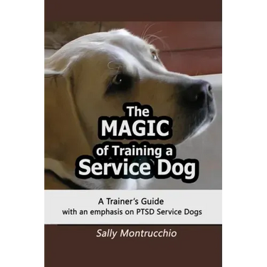 The Magic of Training a Service Dog