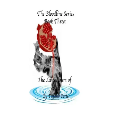 The Bloodlines Series: Book Three: The Last Hours of Destiny