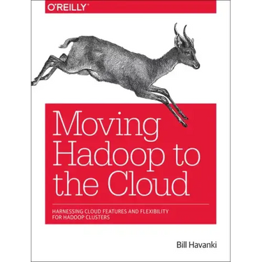 Moving Hadoop to the Cloud: Harnessing Cloud Features and Flexibility for Hadoop Clusters