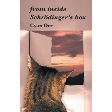 from inside Schrödinger's box