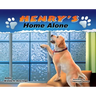 Henry's Home Alone