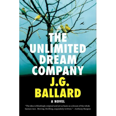 The Unlimited Dream Company