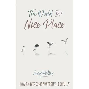 The World Is a Nice Place: How to Overcome Adversity, Joyfully