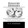 Poultry Diseases: Methods of Preventing and Curing Them