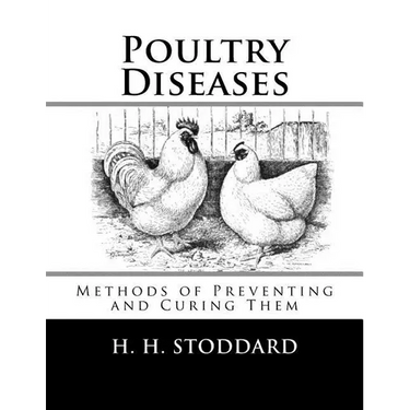 Poultry Diseases: Methods of Preventing and Curing Them