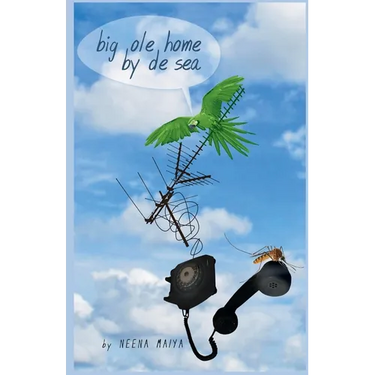 Big Ole Home By De Sea