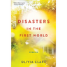 Disasters in the First World: Stories