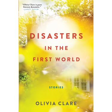 Disasters in the First World: Stories