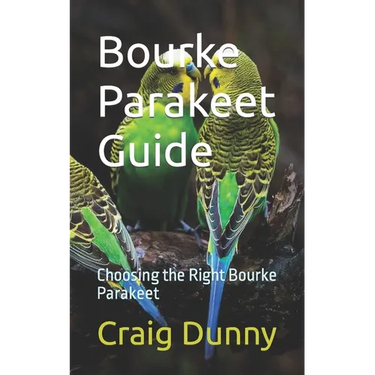 Bourke Parakeet Guide: Choosing the Right Bourke Parakeet