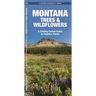 Montana Trees & Wildflowers