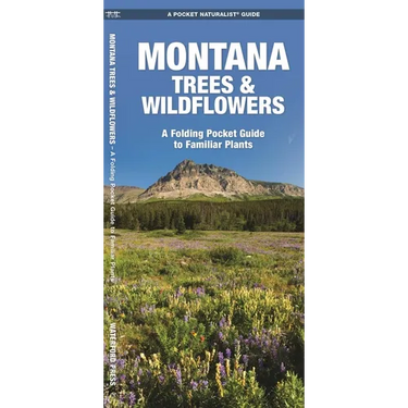Montana Trees & Wildflowers