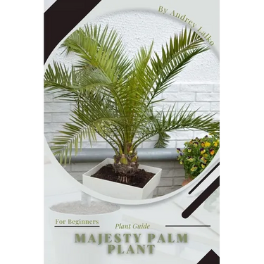 Majesty Palm Plant: Plant Guide