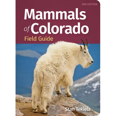 Mammals of Colorado Field Guide