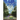 Tales From Piney Grove