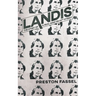 Landis: The Story of a Real Man on 42nd Street