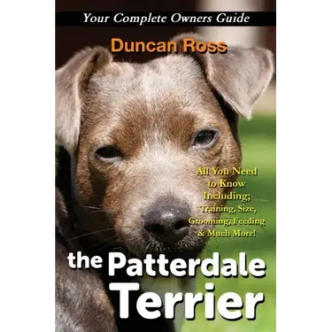 The Patterdale Terrier