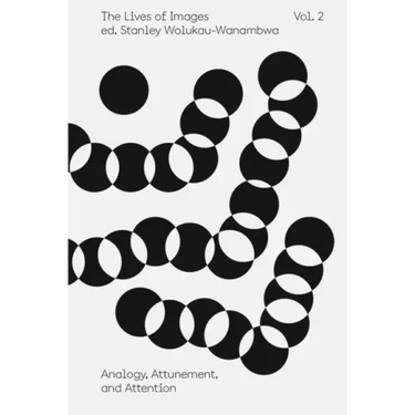 The Lives of Images, Vol. 2: Analogy, Attunement, and Attention