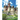 Castle: The Picture Book of Amazing Castle for Dementia, Seniors, Alzheimer's and Parkinson's.