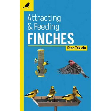 Attracting & Feeding Finches