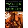 Gone Fishin': An Easy Rawlins Novel