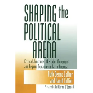 Shaping the Political Arena