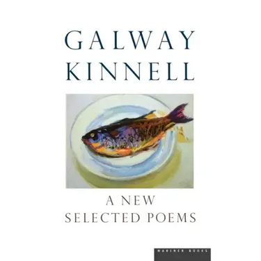 A New Selected Poems