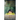 Famous' Destiny The Monster In The Forest