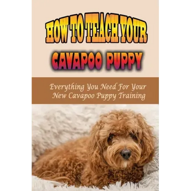 How To Teach Your Cavapoo Puppy: Everything You Need For Your New Cavapoo Puppy Training: Fun Facts About Cavapoo