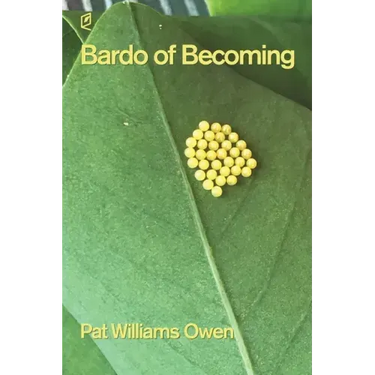 Bardo of Becoming