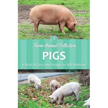 Pigs