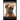 Boxer Dogs, Boxer Training Book for Boxer Dogs & Boxer Puppies By D!G THIS DOG Training Training Begins From the Car Ride Home, Boxer Dog Book