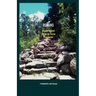 Romans: A Latin-English, Verse-By-Verse Translation