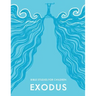 KidzFirst Bible Studies for Children: Exodus