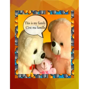 This is my family C'est ma famille: A bilingual English French children's colourful family photo book and beginner book for learning French