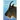 A Beast the Color of Winter: The Mountain Goat Observed