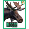 Moose