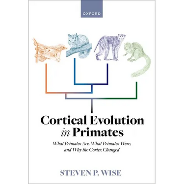 Cortical Evolution in Primates: What Primates Are, What Primates Were, and Why the Cortex Changed