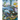 Under The Sea: Fishes, Turtle, Seaweed, Artwork, Painting, Story book,