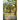 The Crystal Chronicles: Convergence