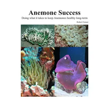 Success With Anemones: Doing what it takes to keep Anemones healthy long-term