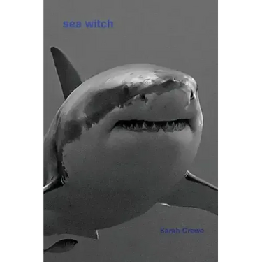 Sea Witch