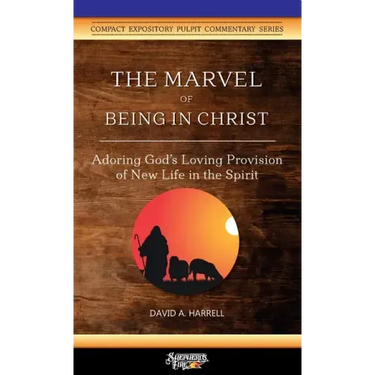 The Marvel of Being in Christ: Adoring God's Loving Provision of New Life in the Spirit