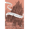 The Storm of Echoes: Book Four of the Mirror Visitor Quartet