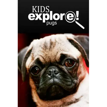 Pugs - Kids Explore: Animal books nonfiction - books ages 5-6
