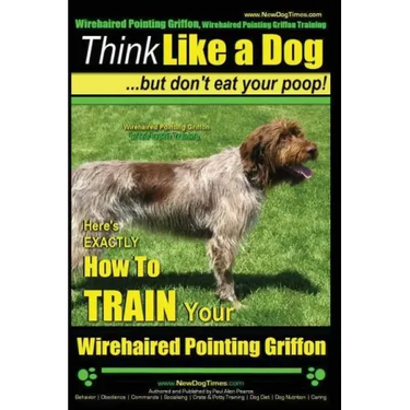 Wirehaired Pointing Griffon, Wirehaired Pointing Griffon Training Think Like a Dog But Don't Eat Your Poop! Wirehaired Pointing Griffon Breed Expert T