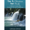 I'm A Christian But Broke: 7 Biblical Truths Why Christians Are Not Prosperous