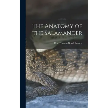 The Anatomy of the Salamander