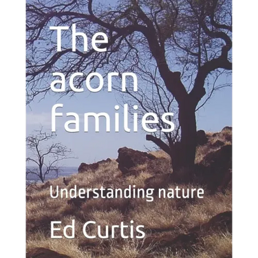 The acorn families: Living lessons for kids