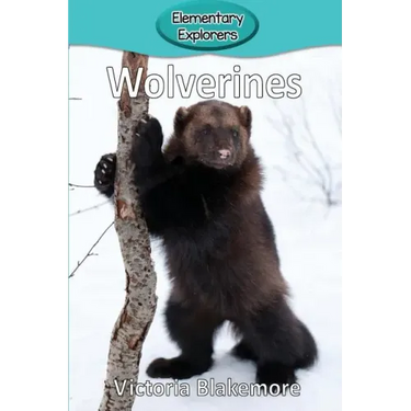 Wolverines