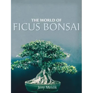 The World of Ficus Bonsai